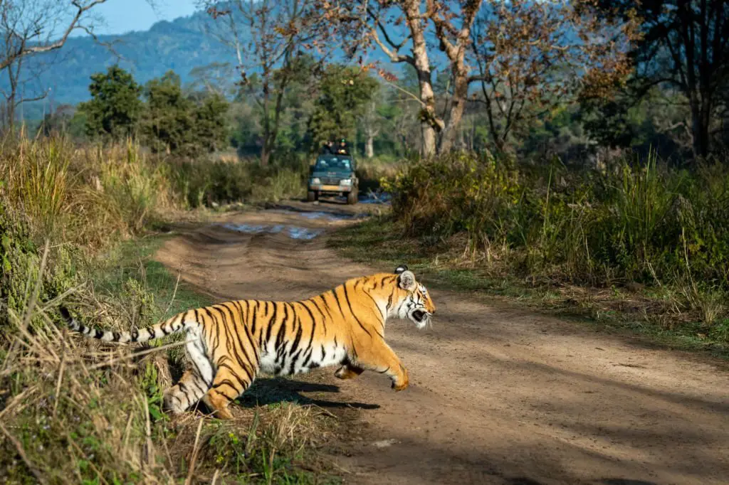 Rainfall in Ranthambore